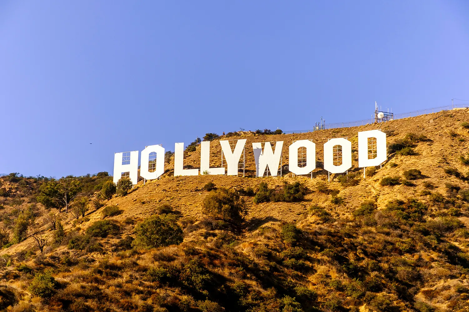 Gwiazdy Hollywood, które używają produktów iS Clinical